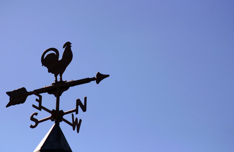 はじめまして。迷子の達人です。