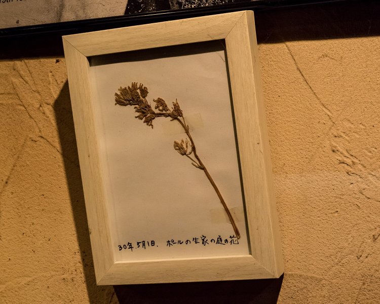 リヴァプールを訪れた常連客がポールの生家の前で拾ってきたという落ち葉。