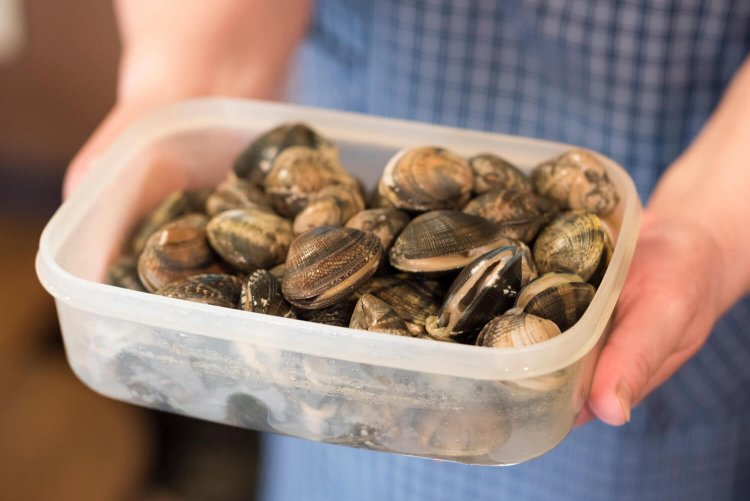 大粒アサリは、年間を通じて愛知県産だ。
