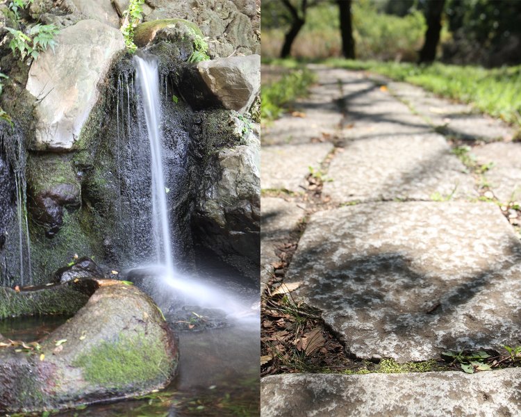 左／かつての湧水のかたちを復元した遅野井の滝。右／旧都電杉並線の敷石を敷いた下の池の並木道。