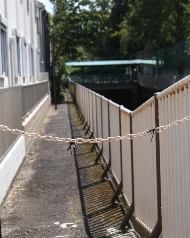 川は井荻小学校で一時暗渠に。迂回して歩く。