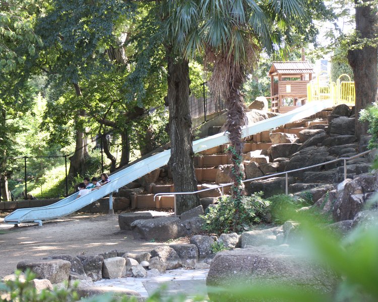 井荻公園。原寺分橋～原橋の間の斜面を利用して、すべり台を設置。善福寺川が削った谷地の南西側斜面と思われる。