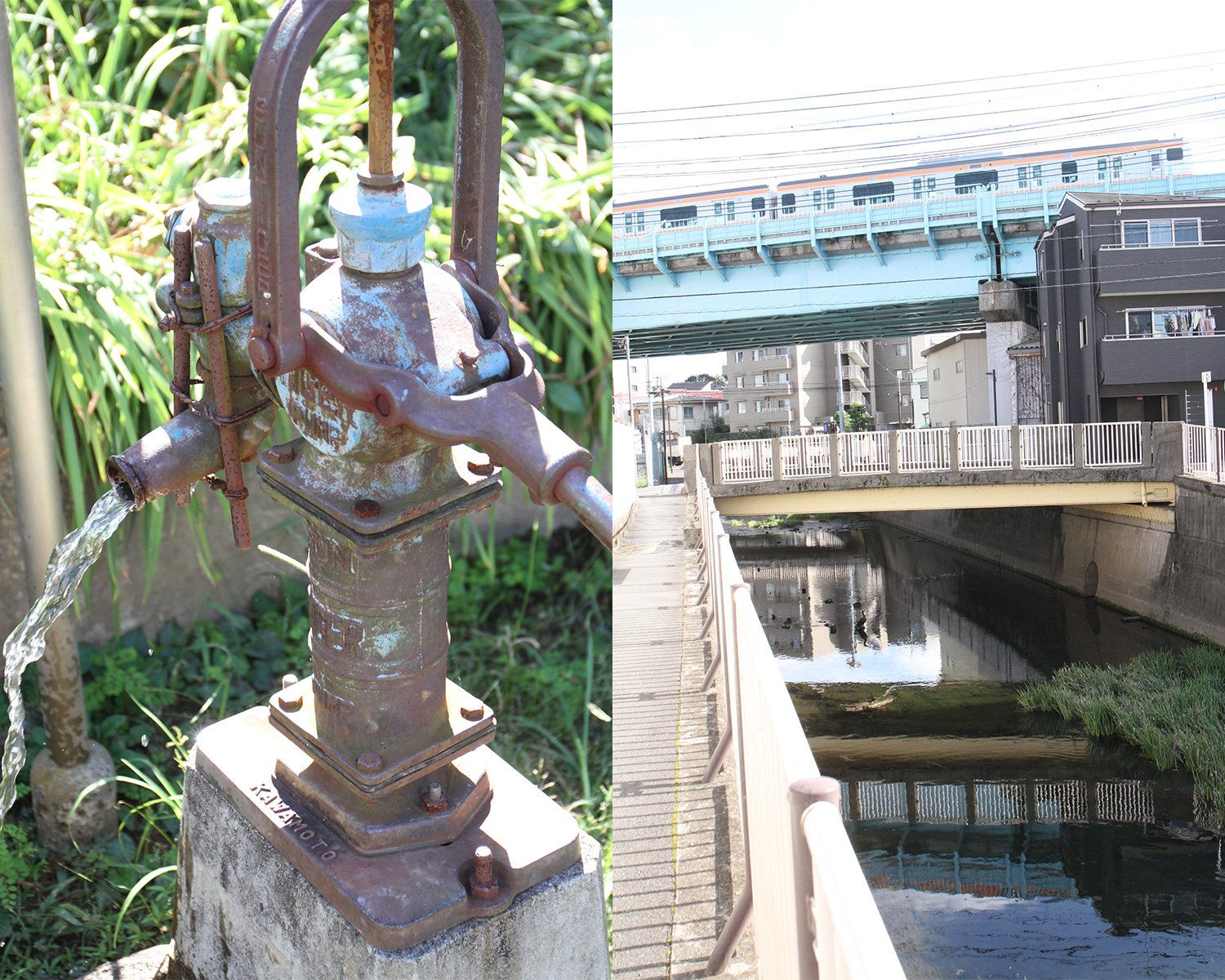 左/おぎ緑地。出山橋の手前に立地。地元の人々が整備した花壇と、井戸水の出る手動ポンプがある。飲用不可なのが残念! 右/置田橋。井伏鱒二がハヤ釣りをした辺り。当時は岸の一部がコの字形の浅瀬になっており、水浴びや洗濯をする人々がいたという描写が『荻窪風土記』に。線路付近には昔水車小屋もあった。