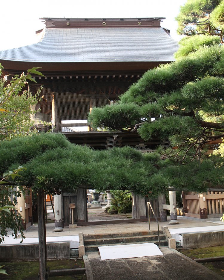 中道寺。松庵川暗渠の近くに立地。天明元年（1781）竣工時の姿をとどめる鐘楼門は杉並区指定有形文化財。境内西側には「享保十七」「宝永三」などと彫られた古い石仏３体が祀られていた。