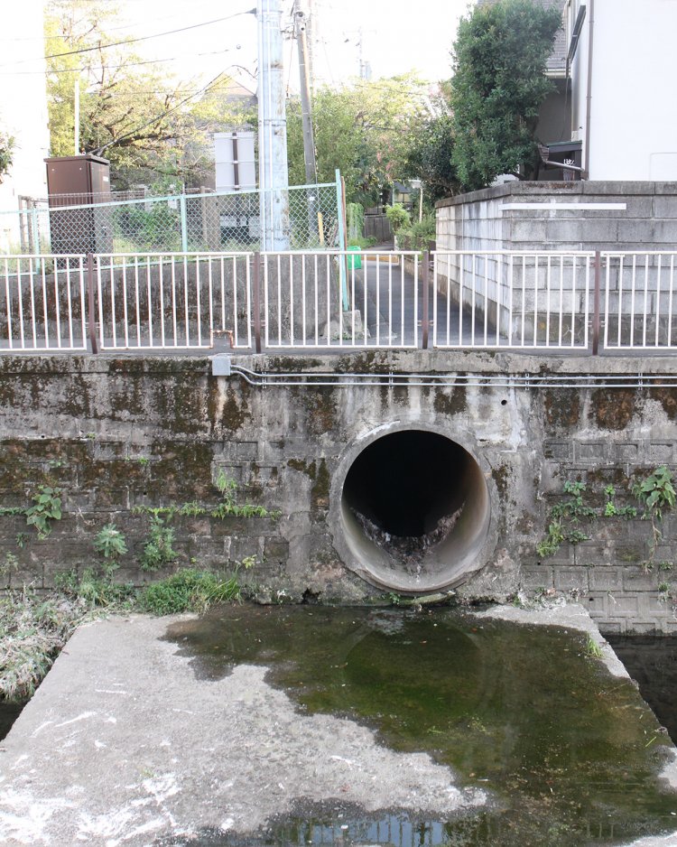 松庵川の合流点。暗あん渠きょの中を通ってきた松庵川が松見橋下流で善福寺川に合流。ほぼ水は出てないが大雨の日は巨大なコンクリの板に水が流れるのか。