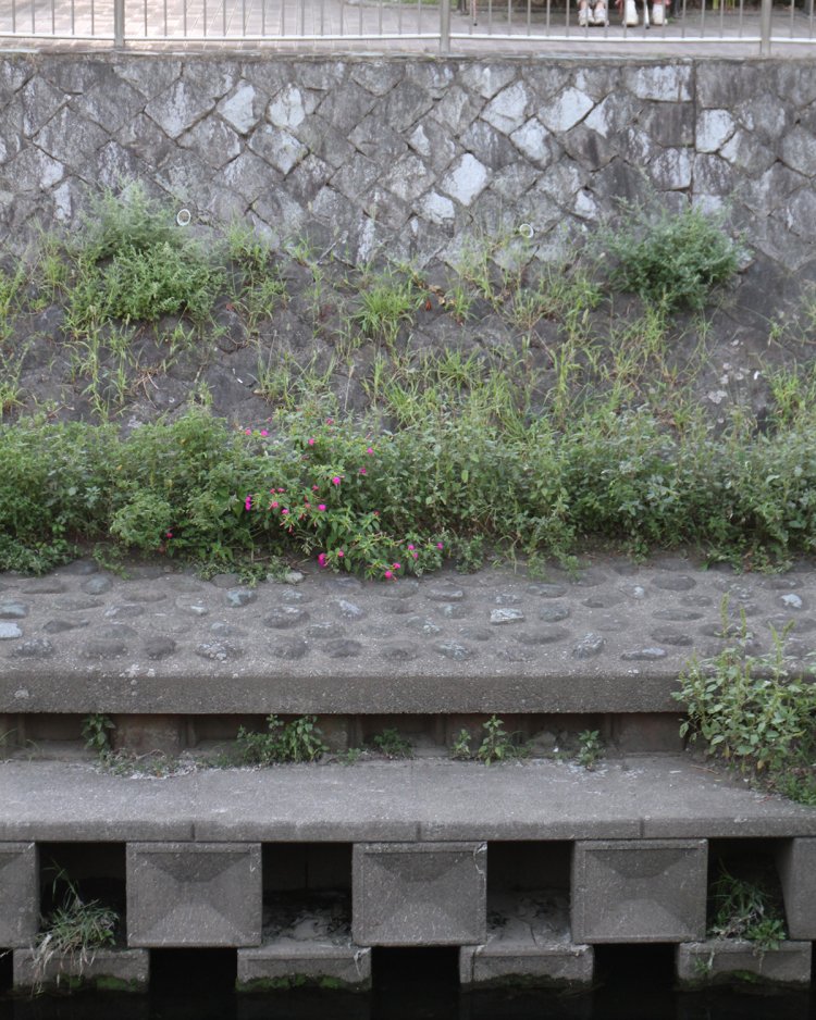 護岸には魚類へすみかを提供するための魚巣ブロック。