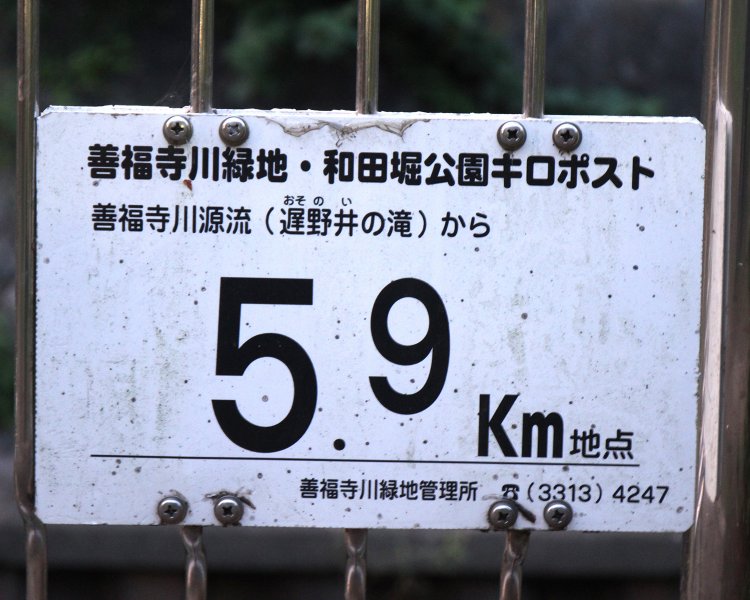 ここまで来たらゴールは目前！