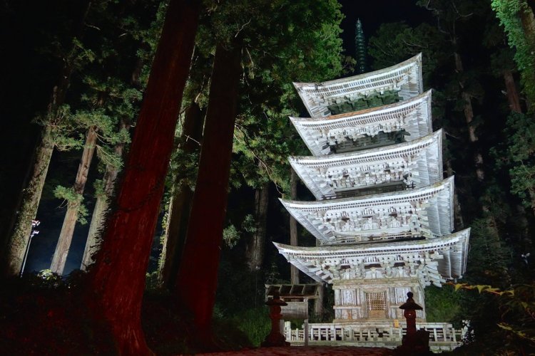 2019年10月までの土・日にライトアップされる。500円。