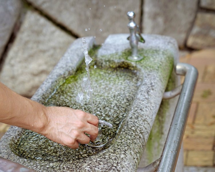 0円散歩のお供・水飲み場もあり。
