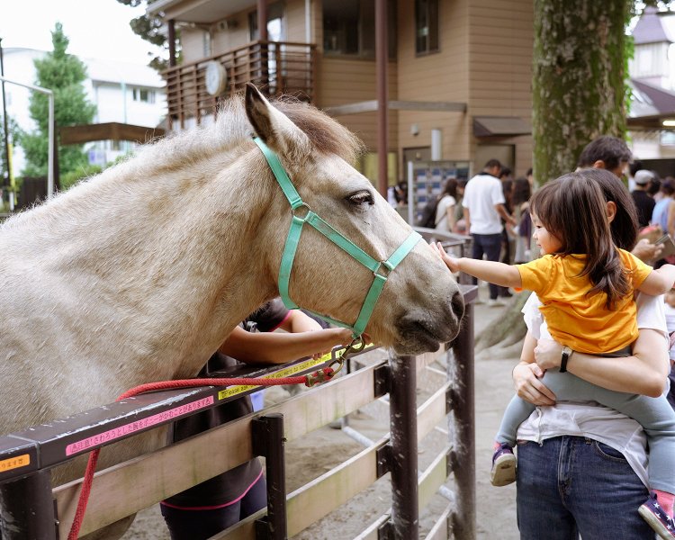 係に声をかければ手で触れることも。