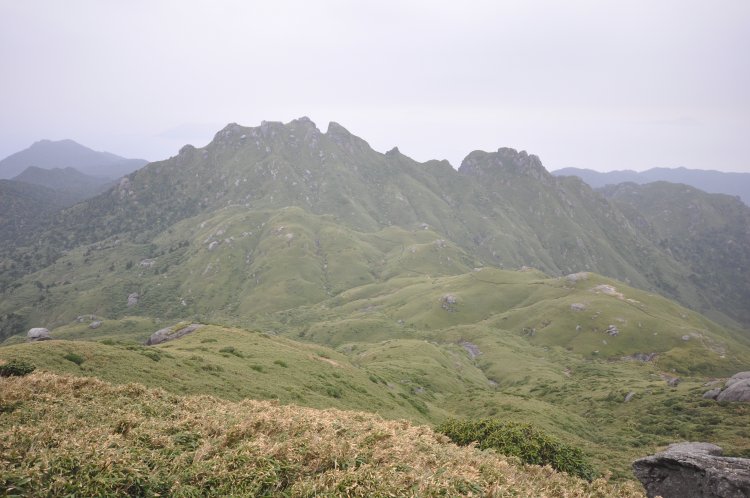 縦走路から往復90分の永田岳。右に３時間強下れば縄文杉に会える。