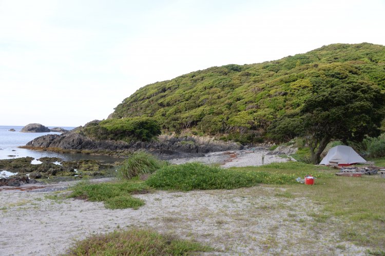 人里離れた静かな一湊大浦キャンプ場。横に大浦の湯もあり便利。