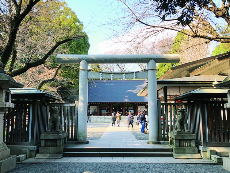 nogijinja