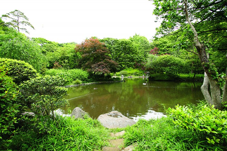 arisugawanomiyakouen