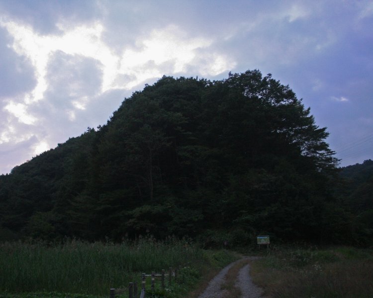 夕暮れの横沢入で、触手を伸ばす王蟲。2008年撮影。