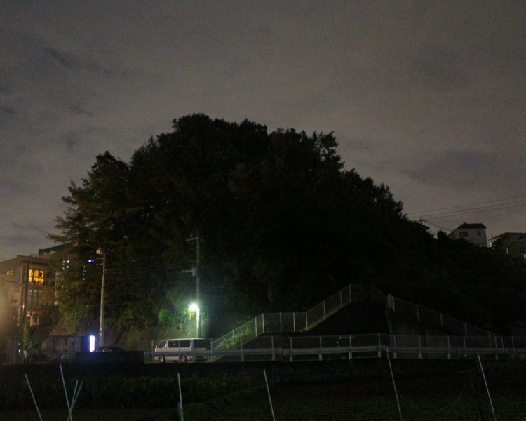 夜の郊外で王蟲（オーム）をメッチャ見る