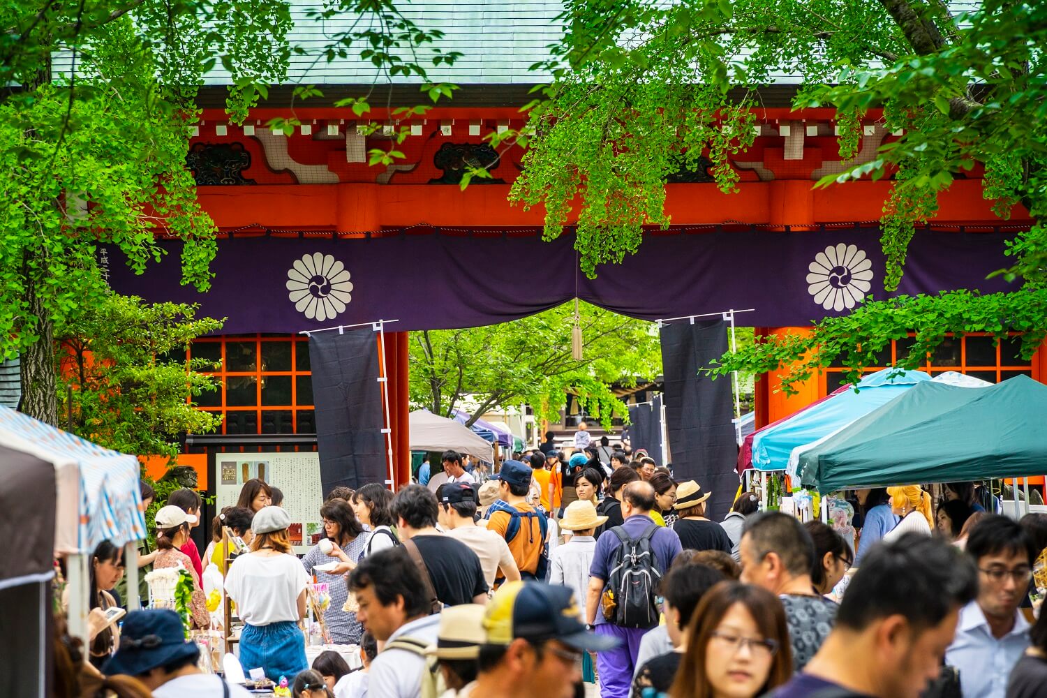 ニューボロイチを知っているか～市川市・本八幡のボロ市～｜さんたつ by 散歩の達人