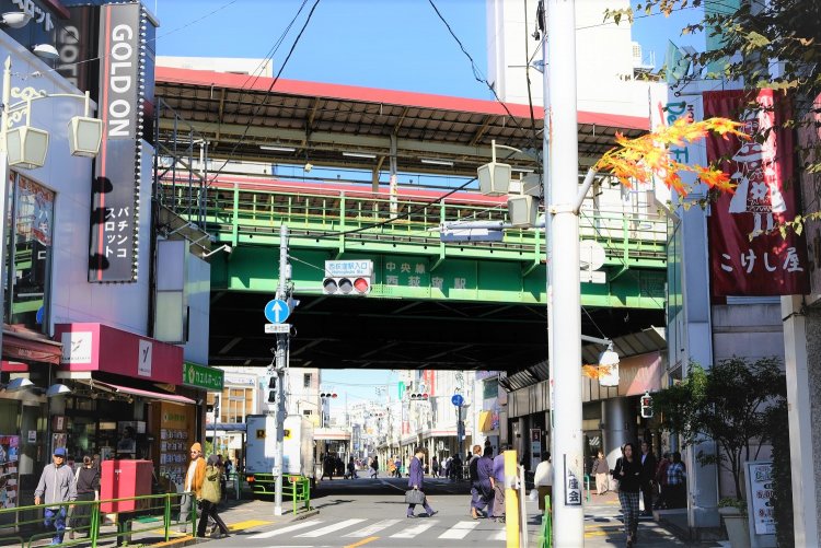 午前中の西荻の街を歩くのは気持ちがいい。高い建物が少なく、日なたが多い。新鮮な日差しをたくさんあびると、健康になった気がする。
