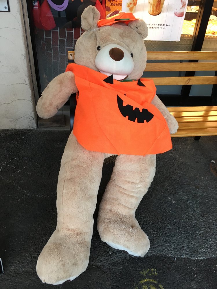 田原町の某店の熊（秋）