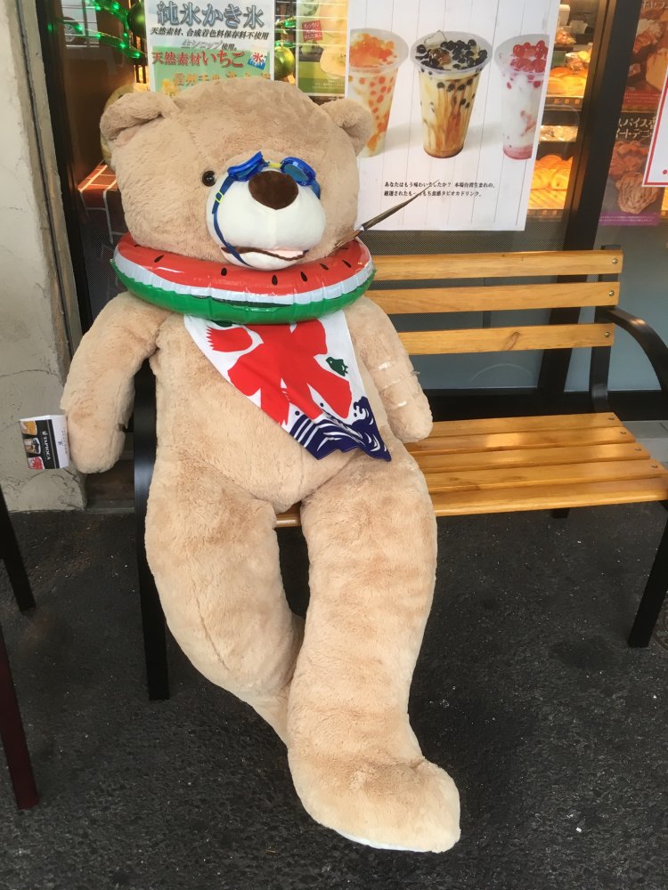 田原町の某店の熊（夏）
