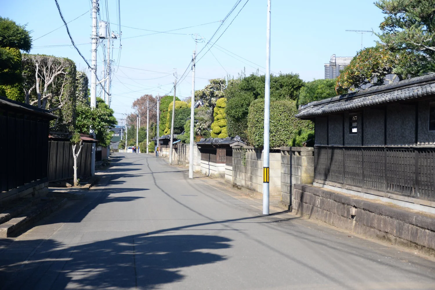 茨城県土浦市 レンコンにそばにカッパ伝説と 見どころ食べどころ満載 ツウ旅 さんたつ By 散歩の達人