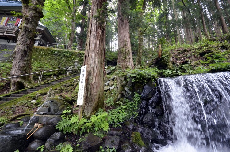 本堂への石段に沿って清水が流れ、酷暑の夏もここは別天地の涼しさ。