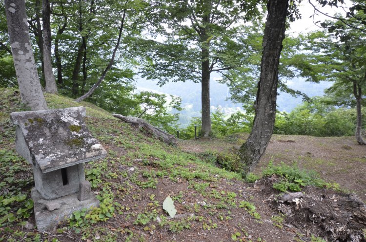 高さ４ｍの土塁から三角形の本丸を望む。畝形阻塞は写真後方。