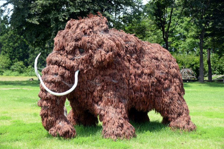 町内穴藤地区で発見された古型マンモスにちなんだオブジェ。