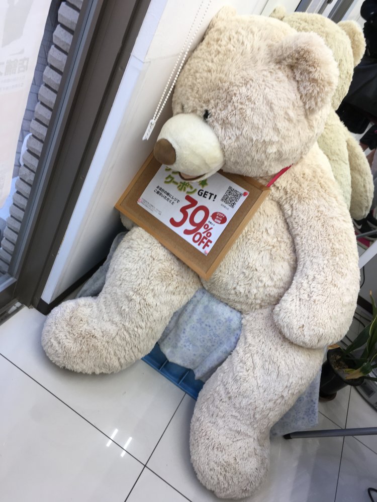 「ホワイト急便　南常盤台店」の熊（店内）