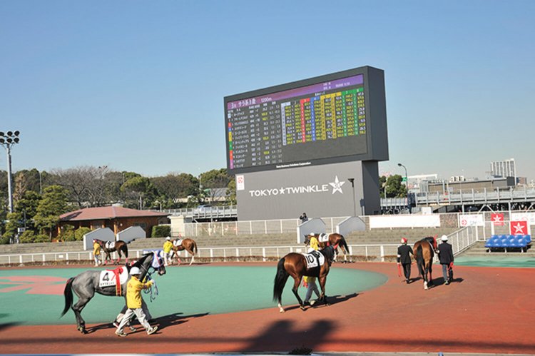 東京シティ競馬（大井競馬場）