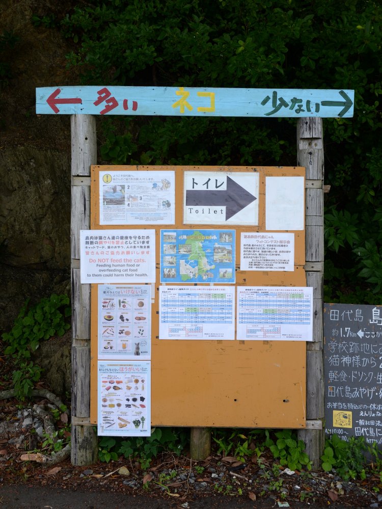 仁斗田港そばの分岐に建つ道案内。 ネコの数情報で行先を示している。