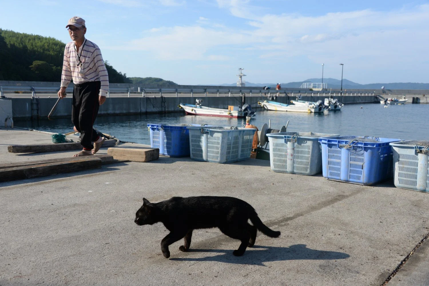 宮城県石巻市田代島 ネコ好きまっしぐら モフモフ散歩の島時間 ツウ旅 さんたつ By 散歩の達人