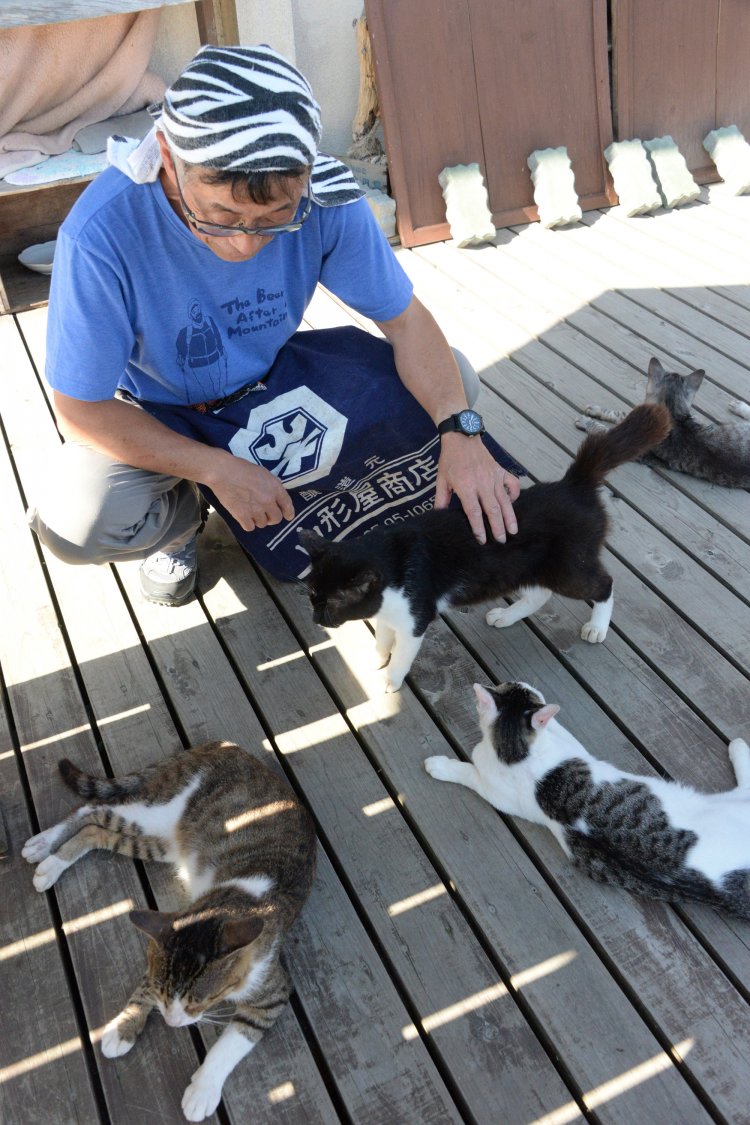デッキにたむろするネコたちをあやす、共和国理事の渡邉仁悦さん。