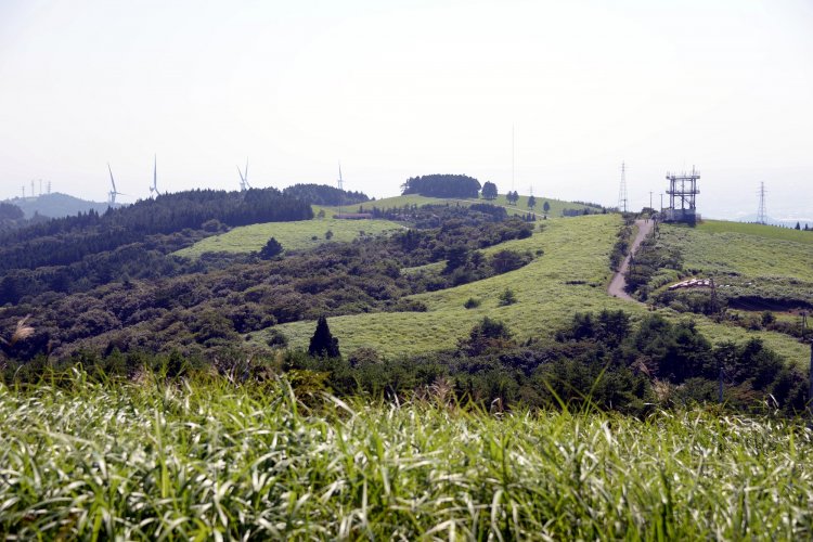 風力発電のプロペラが並び、牧草地が広がる上品山の山頂付近。