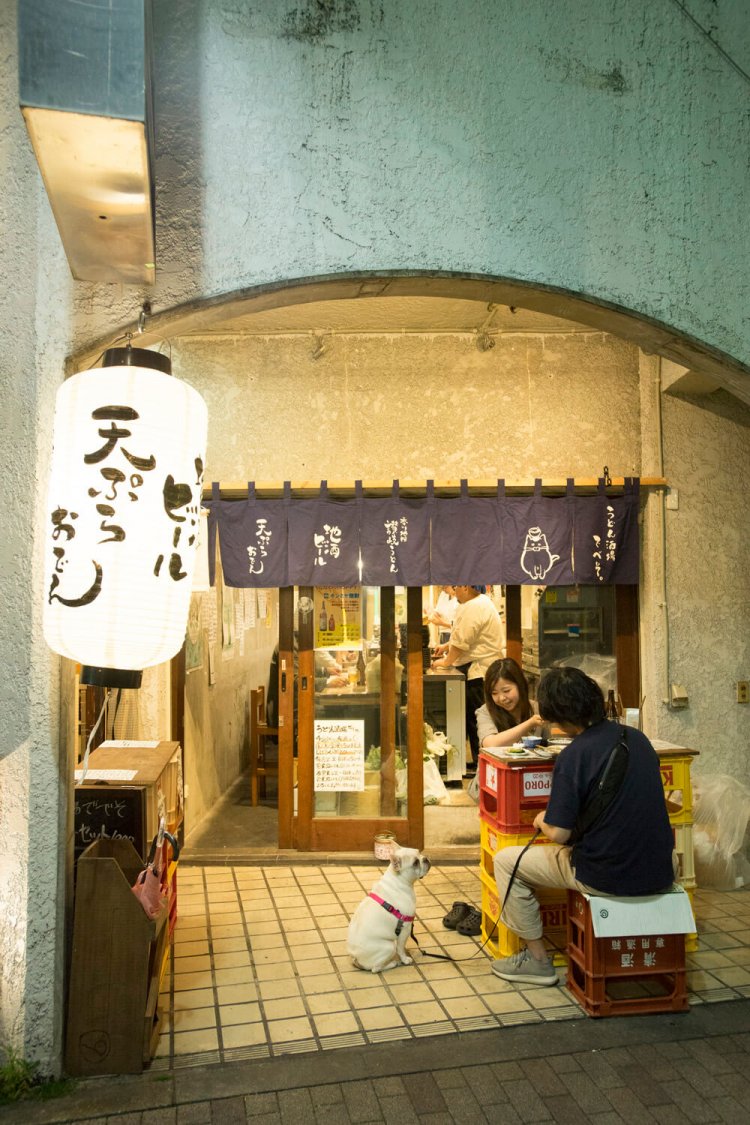 外席は犬も気持ちよさそう～。
