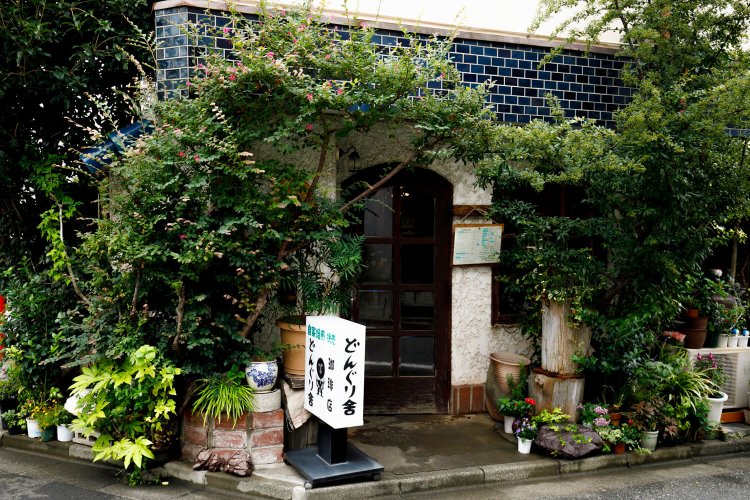 緑に覆われた入り口。