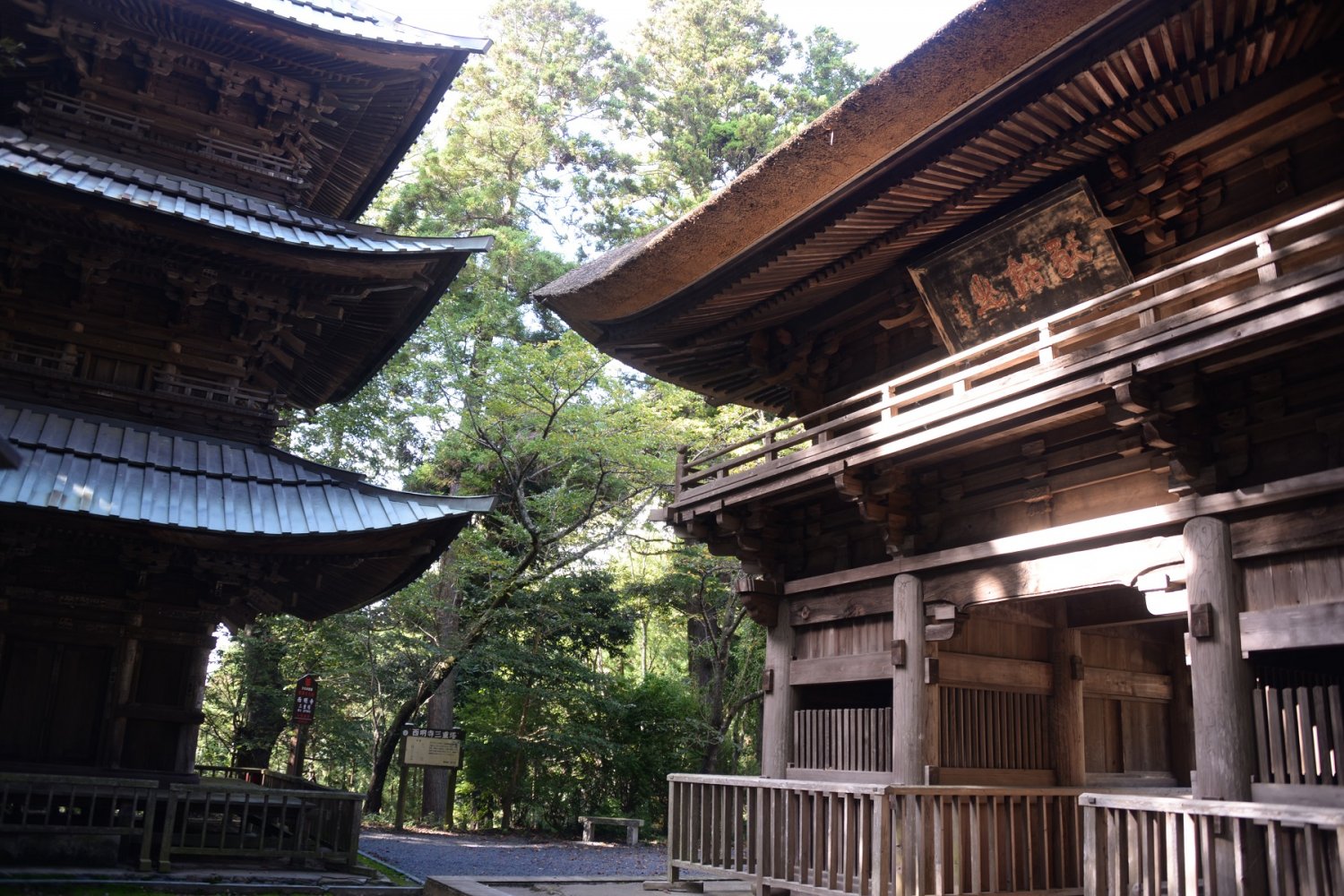 西明寺