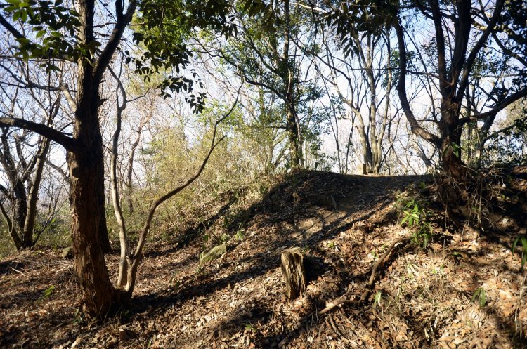 11～12世紀に築かれた西明寺城跡。土塁上に高館山の三角点がある。