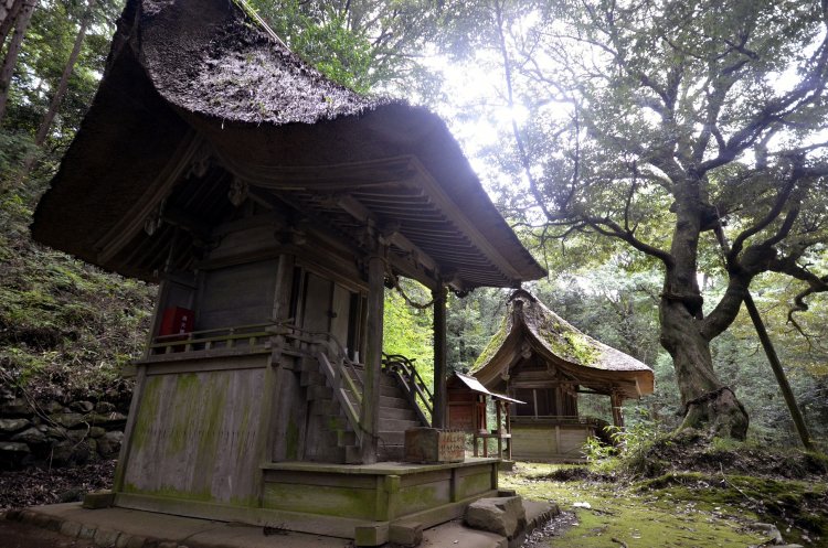 綱神社摂社大倉神社本殿（手前）と綱神社本殿の素朴にして優美な姿