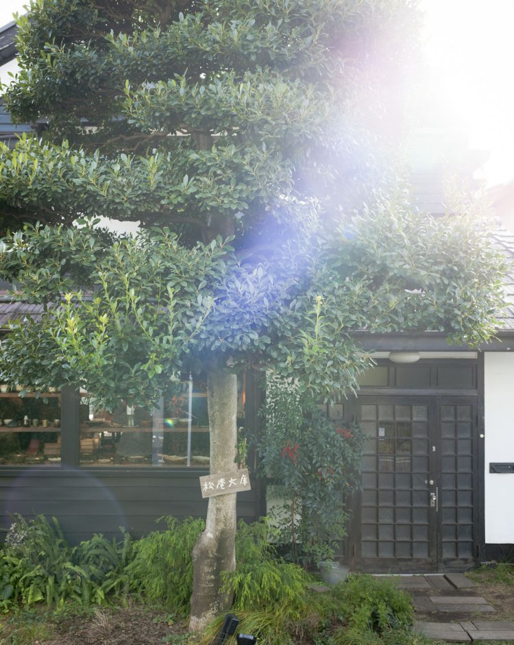 元気よく茂る草木がお出迎え。