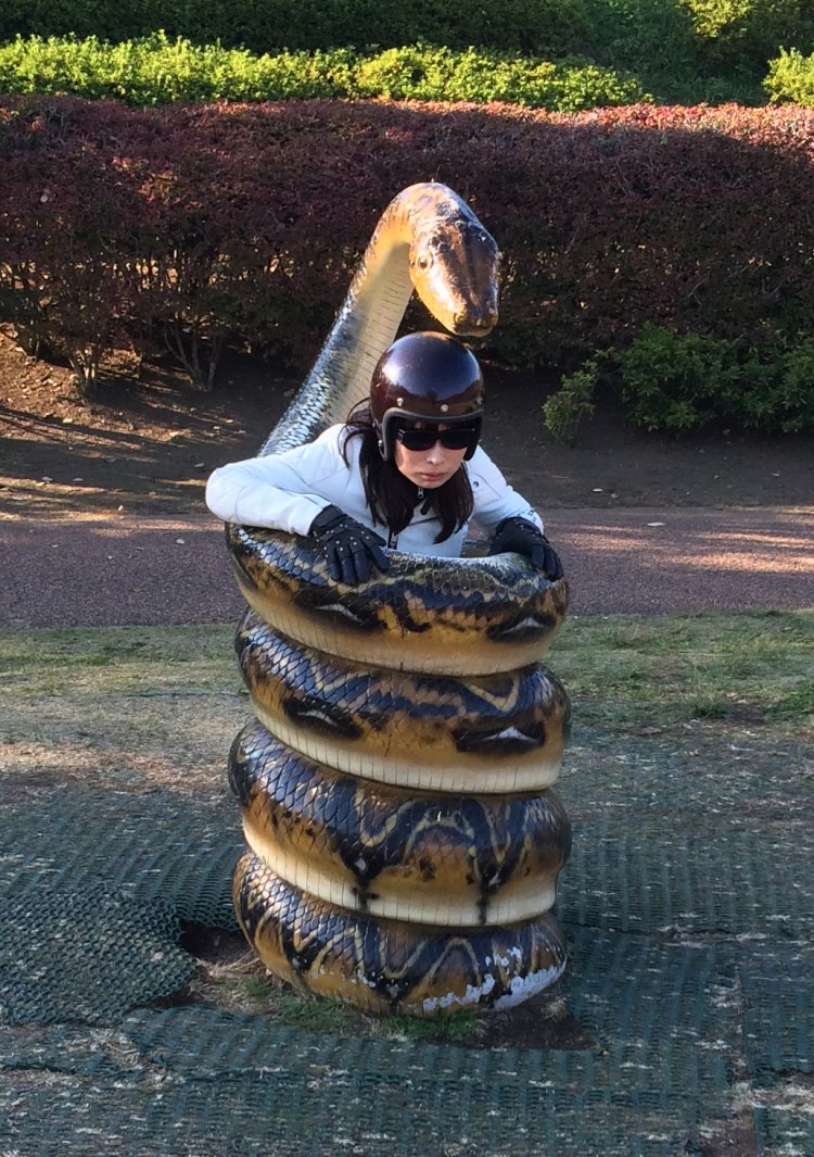 ズーラシアにて（2012年撮影）