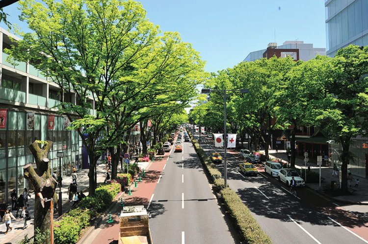 omotesando