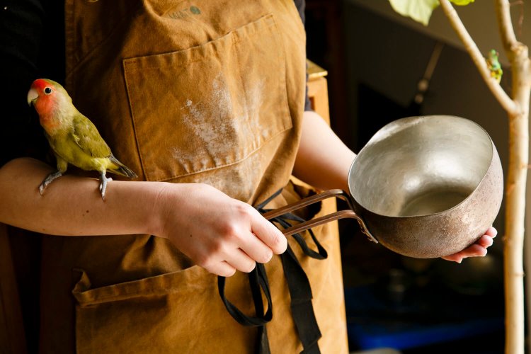 錫引きの銅製ミルクパン2万4750円。コザクラインコのむーちゃんも飛び入り参加。