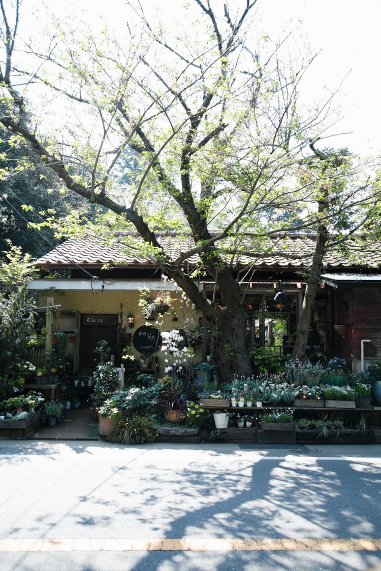 鎌倉山に立地している。