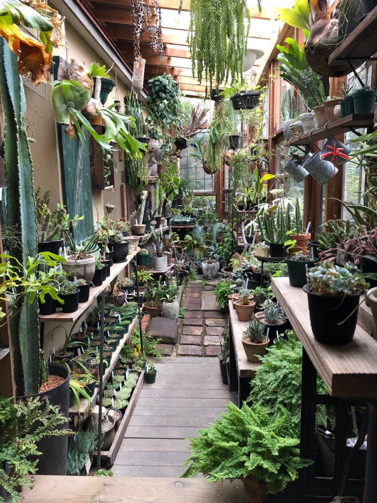 中庭の半分がサンルームのようになっている。