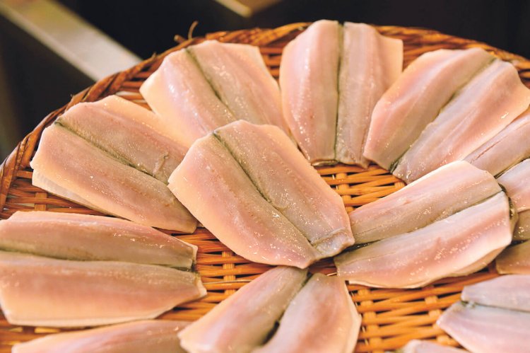 しめたばかりのコハダ。しっかり酢を利かすのも江戸前ならでは。