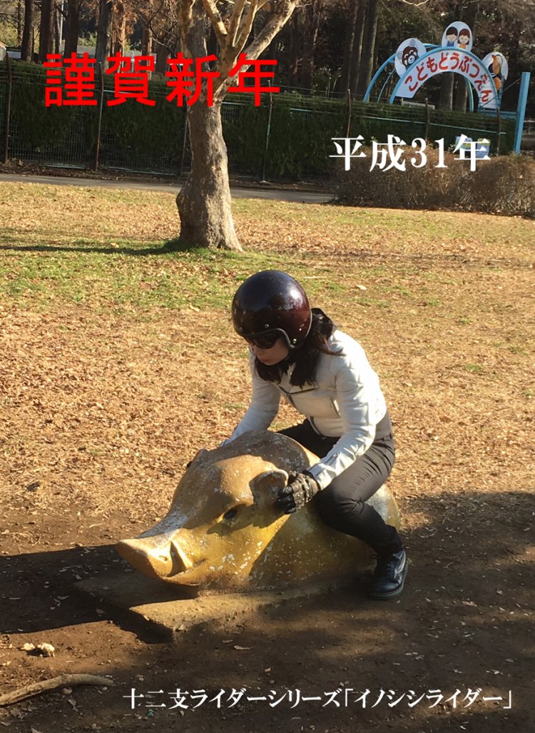 2019年の年賀状（イノシシライダー）