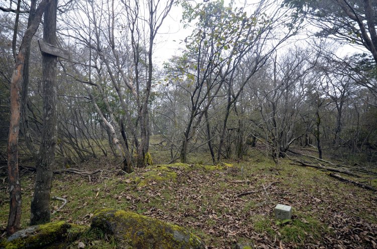 古峰原のピークは三枚石の三等三角点。道から外れるがすぐ分かる。