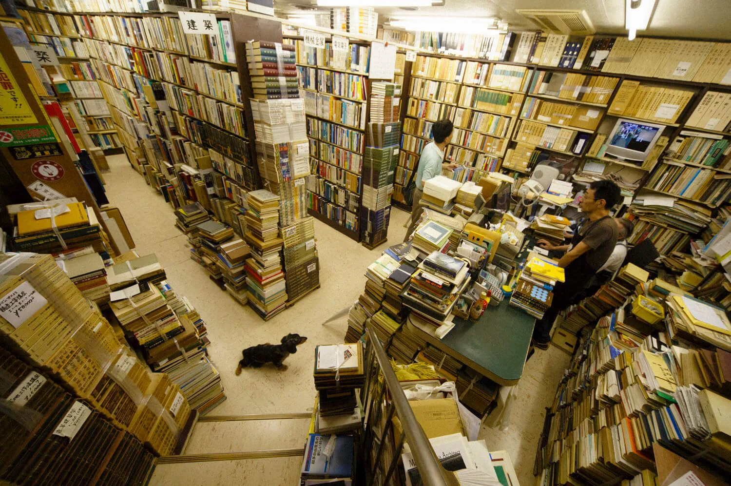 神保町の心ときめく本屋13店 古書店から新書店まで 本屋には人を惹きつける力があるのだ さんたつ By 散歩の達人