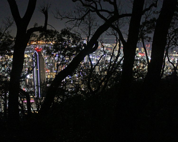 城山へのハイキングコースからの眺め。神戸市街の無数の光が直射する。
